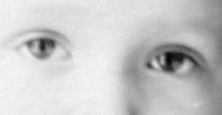 /album/my-room-of-curiosities/oci-jpg/