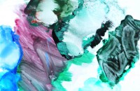 /album/my-room-of-curiosities/paleta-jpg/